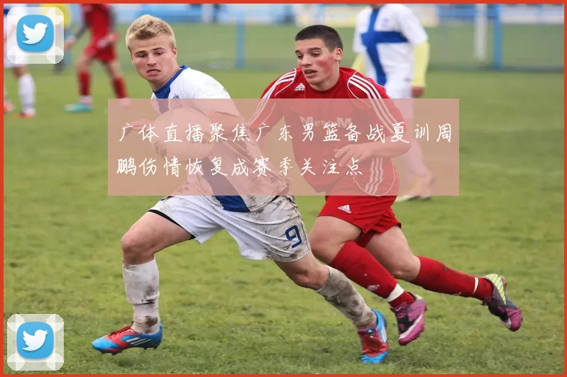 广体直播聚焦广东男篮备战夏训周鹏伤情恢复成赛季关注点